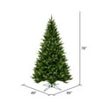 thumbnail image 3 of Vickerman 6.5' x 49" Bennington Spruce Artificial Christmas Tree, Unlit, 3 of 5