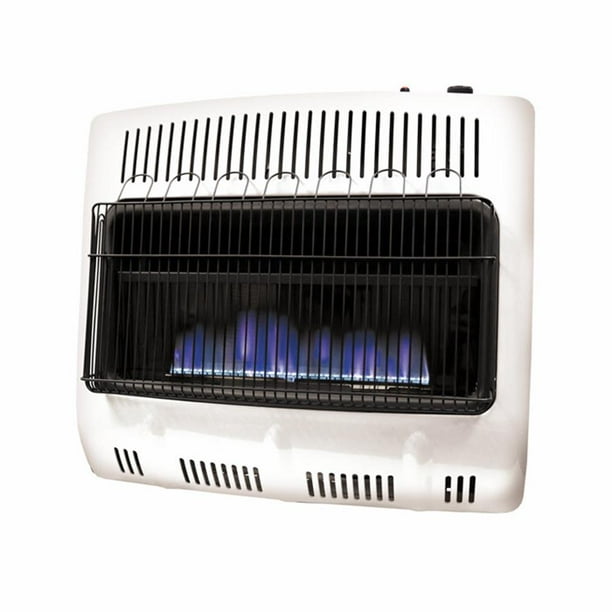 Mr HeaterF299330 30,000 BTU Vent Free Blue Flame Dual Fuel Heater