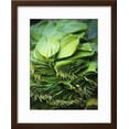 thumbnail image 2 of Betel Leaves Spice Plant from IndiaAsia, Botanical Framed Art Print Wall Art Sold by Art.Com, 2 of 5