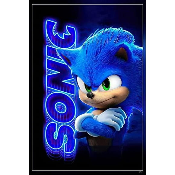 PPHAOSHO Sonic The Hedgehog Movie Poster frameless Painting Canvas Wall Posters Art Picture Print Modern Home Decor 24x36inch