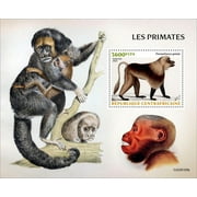 Central Africa - 2023 Primates, Gelada - Stamp Souvenir Sheet - CA230105b
