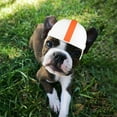 thumbnail image 4 of BeesClover Dog Helmet Motorcycle Pet Helmet for Small Dogs Cats, Minimalist Outdoor Bike Hard Hat with Adjustable Strap, for Puppy Driving Riding Head Protection, 4 of 8