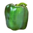thumbnail image 2 of Juguete de almohada vegetal de peluche | Cojín verde de simulación de relleno suave | Muñeca de cojín decorativo para la decoración del sofá del hogar | Lindo peluche grande 16.5 "x13.4" | Regalo, 2 of 6