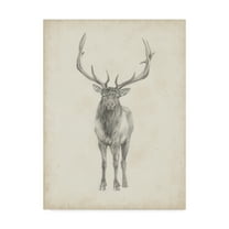 Trademark Fine Art 'Elk Study' Canvas Art by Ethan Harper