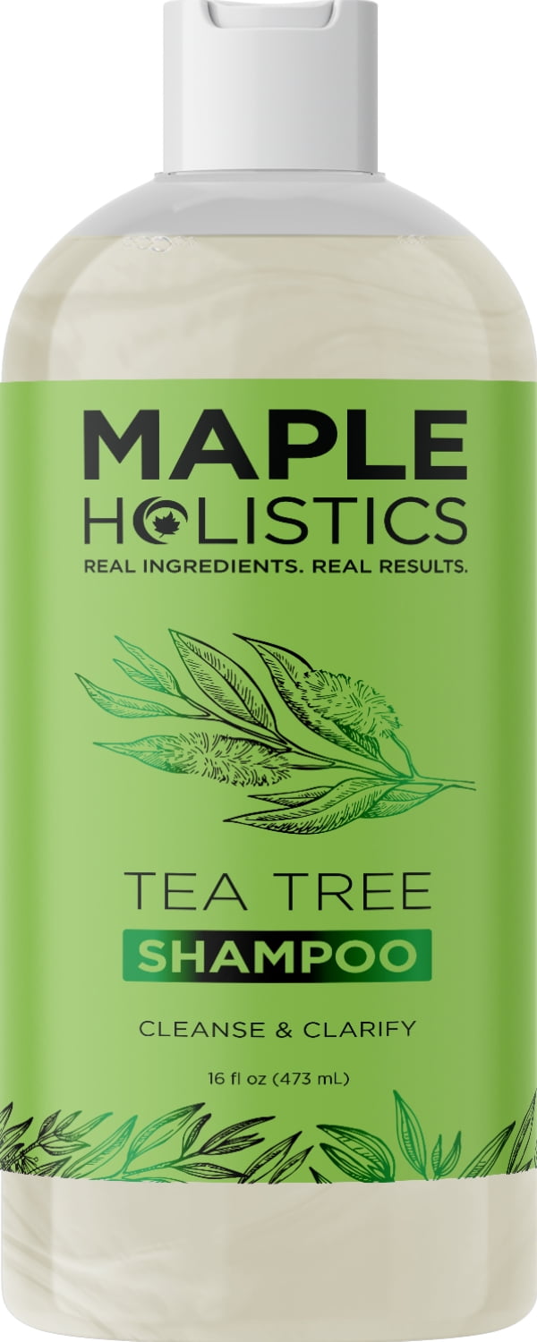 Tea Tree Oil Shampoo Sulfate Free Shampoo - Maple Holistics Tea Tree Oil Dry Scalp Shampoo For Oily Hair with Rosemary - Scalp Care Hydrating Shampoo for Women & Men with Natural Essential Oils