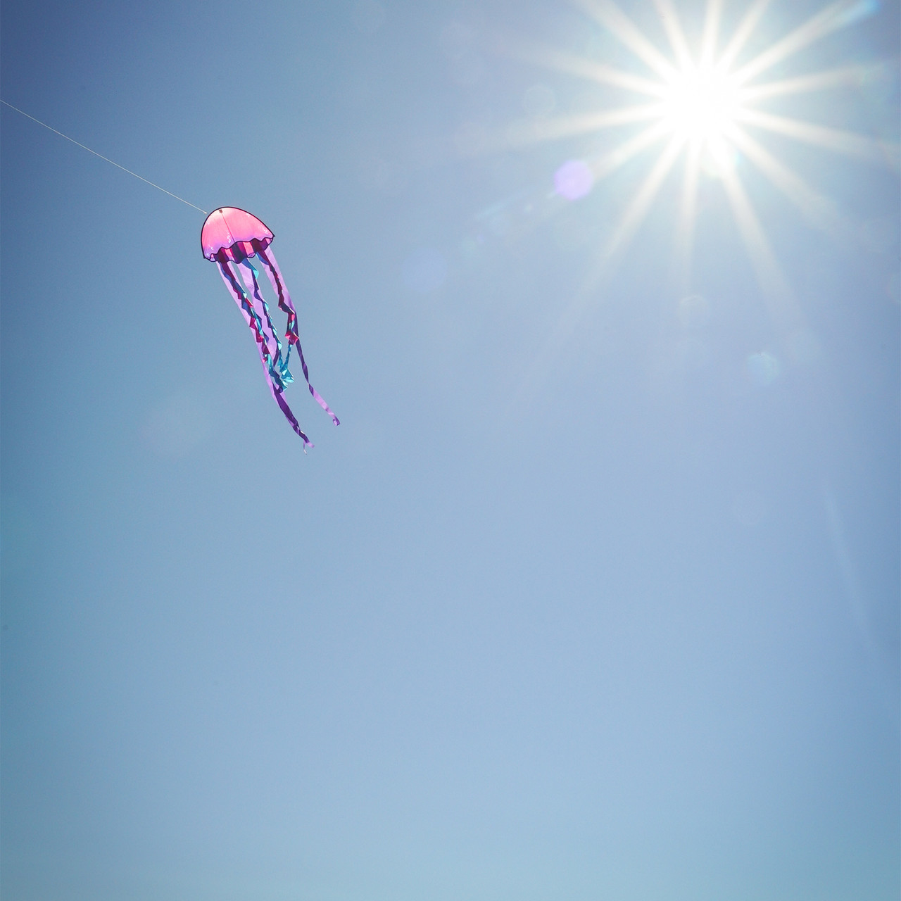 In the Breeze 3348 — 22" Jellyfish Ripstop Fabric Fiberglass Frame Dragon Kite, 8 Tails