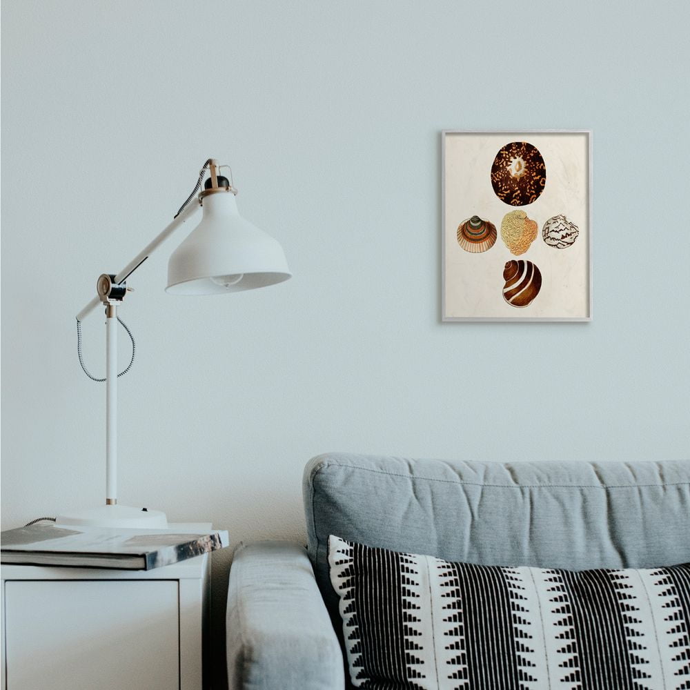 Stupell Industries Antique Round Patterned Nautical Sea Shell Vintage Framed Wall Art Design by G.W. Knorr, 11" x 14", Gray Framed