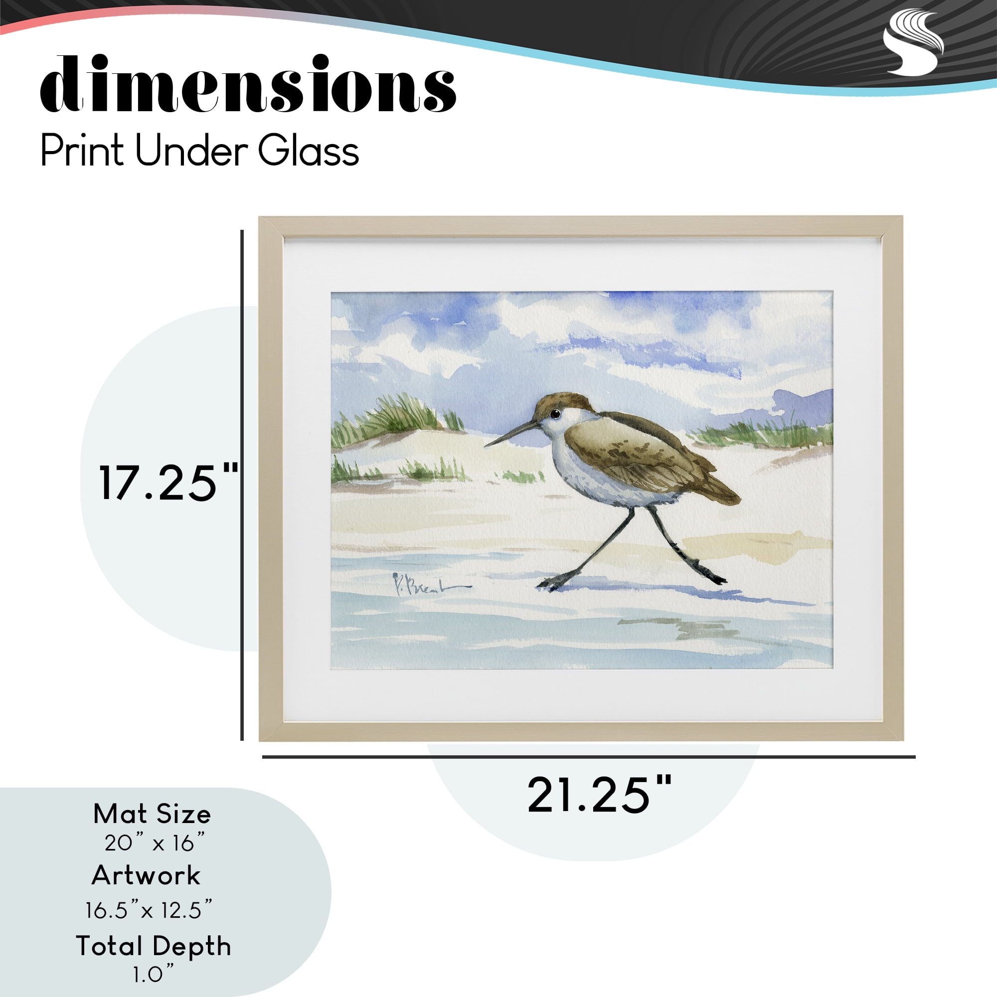 Stupell Industries Inlet Beach Sandpiper Running Birch Framed Print Under Glass, design by Paul Brent
