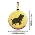 thumbnail image 2 of Stainless Steel Pig Good Luck Charm Round Medallion Pendant Necklace, 2 of 3
