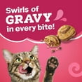 thumbnail image 4 of Friskies Gravy Swirlers, Dry Cat Food 7.26kg, 4 of 9