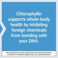 thumbnail image 6 of Life Extension Chlorophyllin, antioxidant & DNA health support, gluten-free, non-GMO, vegetarian, 100 vegetarian capsules, 6 of 9