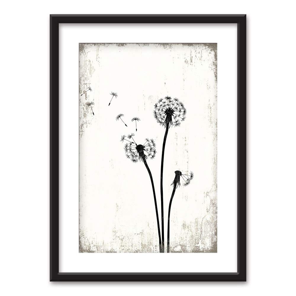 wall26 Framed Wall Art Dandelion in Black White Black Picture Frames White Matting 23x31