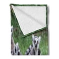 thumbnail image 2 of Lemur Soft Flannel Fleece Blanket, Photo of Madagascar Monkey Ring Tailed Flock of Exotic Animal in Nature, Cozy Plush for Indoor and Outdoor Use, 50" x 70", Pale Mauve Taupe Emerald, by Ambesonne, 2 of 5
