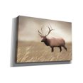 thumbnail image 2 of Epic Graffiti 'Elk in the Field' by Lori Deiter, Canvas Wall Art, 26"x18", 2 of 2