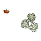 thumbnail image 5 of Plato de dulces,Plato de dulces de vidrio con tapa Tarro de dulces decorativo,Para el buffet de dulces,la mesa de fiesta del escritorio de la oficina y el hogar,Placa de pared con hojas de, 5 of 8