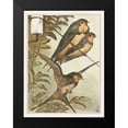 thumbnail image 2 of Hoytema, Theo van 12x14 Black Modern Framed Museum Art Print Titled - Three swallows, 2 of 5