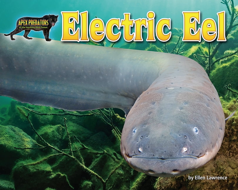 Apex Predators of the Amazon Rain Forest Electric Eel (Paperback