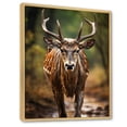 thumbnail image 2 of Designart "African Majestic Antelope Strolling" Animals Floater Framed Canvas Print, 2 of 7