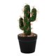 thumbnail image 1 of Cactus artificial, planta artificial en maceta, planta de plástico para sala de estar., 1 of 8
