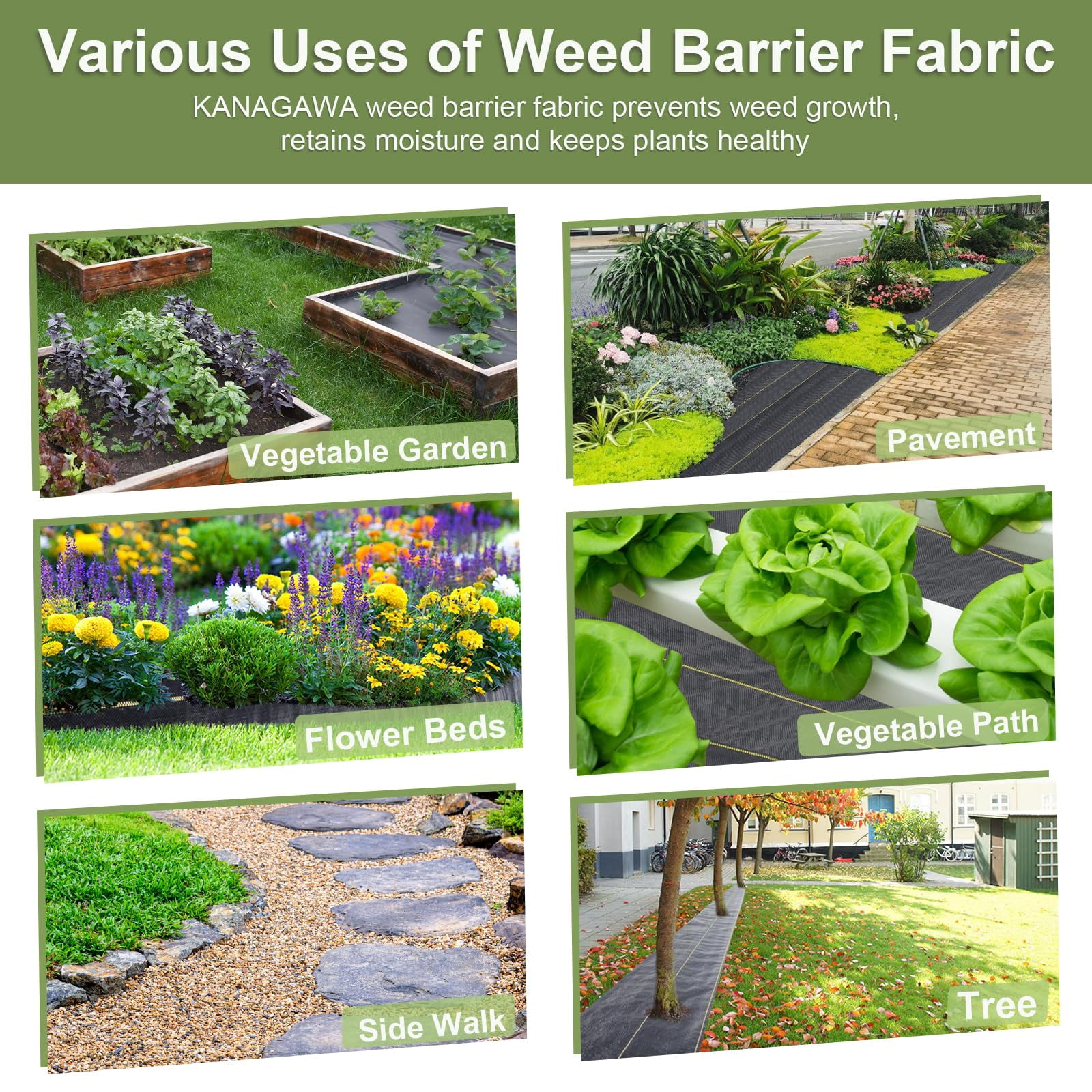 Jane Stone 4ft x 50ft Heavy Duty Weed Barrier Fabric, 6oz Tear Resistant Woven Landscape Fabric with Garden Staples for Lawn, Pathway, Garden Landscaping