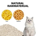 TrainPro Tofu Cat Litter, Natural EcoFriendly Pretty Kitty Litter