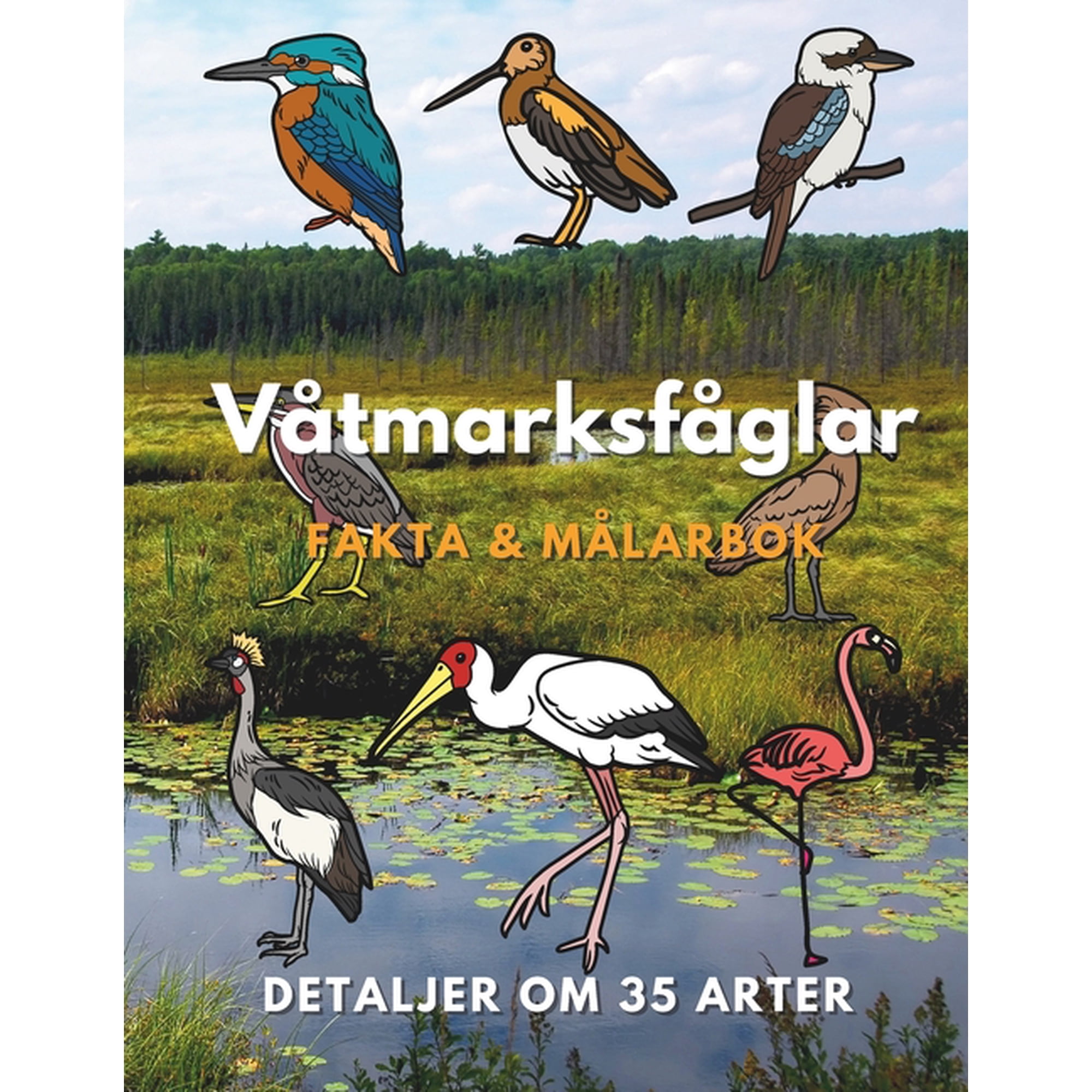 V&Atilde;&yen;tmarksf&Atilde;&yen;glar: Fakta och m&Atilde;&yen;larbok: f&Atilde;&para;r barn i &Atilde;&yen;ldrarna 2 till 16 &Atilde;&yen;r (Paperback)