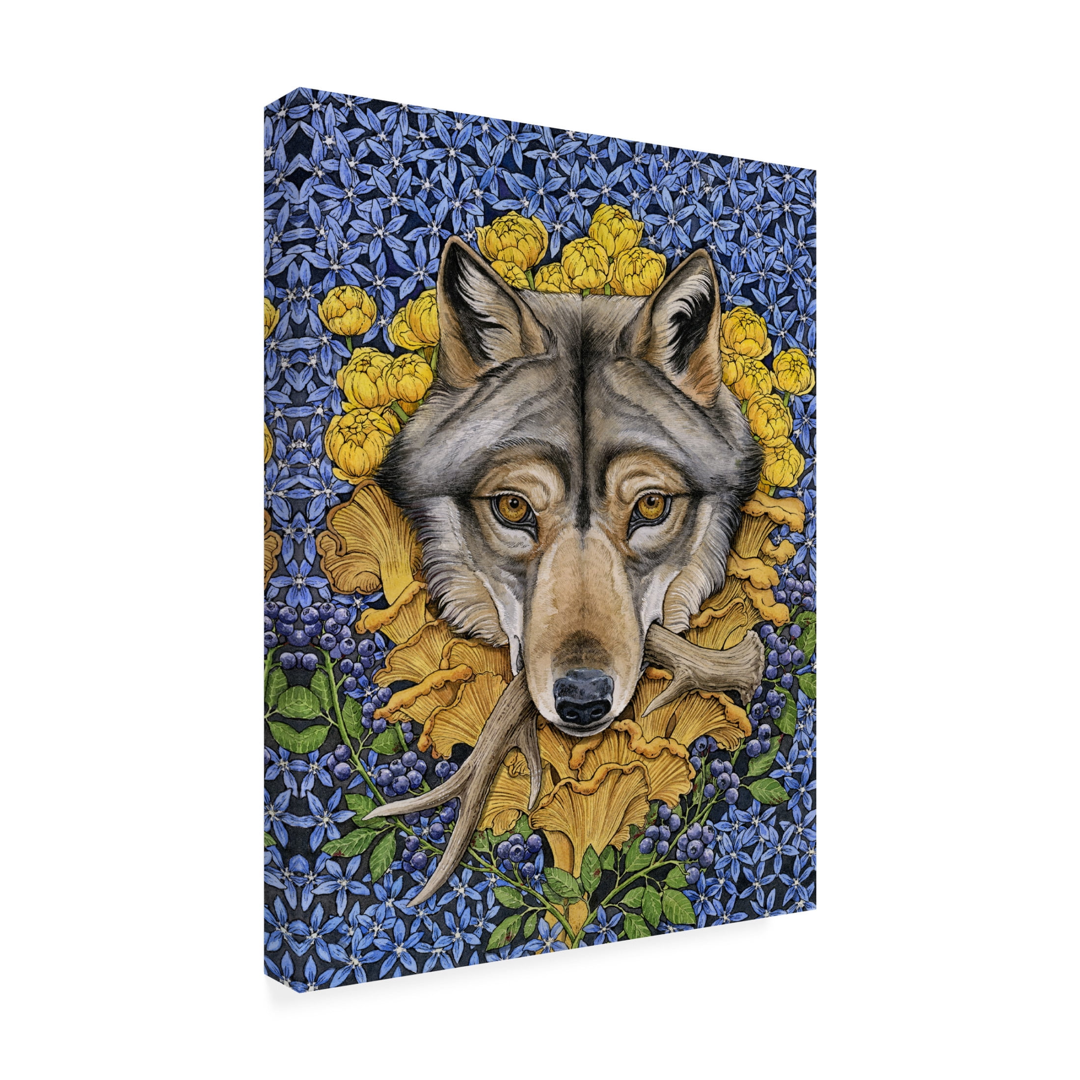 Trademark Fine Art Lea Chaillaud Flourish Canvas Wall Art