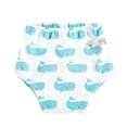 thumbnail image 1 of DPTALR Culottes d'Entraînement pour Bébé Réutilisables en Coton Couches pour Bébé Lavables, 1 of 1