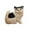 A, variant on Lifelike Cat Desktop Ornament Realistic Animal Sculpture Cute Home Decoration for Cat Lovers