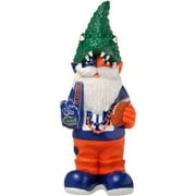 Thematic Gnome, Florida Gators