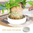 thumbnail image 5 of Zoyueyie 2pcs Durable Ceramic Flowerpot Saucer Round Plant Saucer Tray Garden Planter Case Tabletop Planter Saucer, 5 of 11