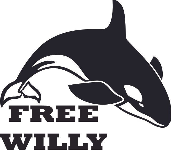 Orcinus Orca Free Willy Whale Customized Wall Decal Custom Vinyl Wall Art Personalized Name Baby Girls Boys Kids Bedroom Wall Decal Room Decor Wall Stickers Decoration Size 40x40 Inch