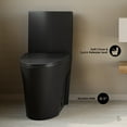 thumbnail image 3 of St. Tropez One-Piece 14" Rough-in 1.1/1.6 GPF Dual Top Flush Elongated Toilet in Matte Black, 3 of 10