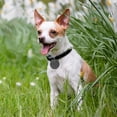 thumbnail image 4 of Pet Loss Locator Device Tracking For Dogs Cats Indoor Outdoor Lightweight Durable ABS, 4 of 5