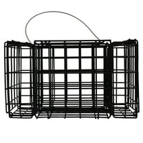 Pennington Suet Cafe Weather-Resistant Metal Bird Feeder with 4 Cake Capacity