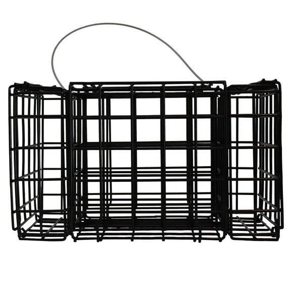 Pennington Suet Cafe Weather-Resistant Metal Bird Feeder with 4 Cake Capacity