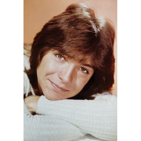 David Cassidy The Partridge Family 24x36 Poster