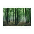 thumbnail image 4 of Misty Green Pine Tree Forest Nature Wilderness Photography Canvas Wall Art for Home Decor Ready-to-Hang, 4 of 18