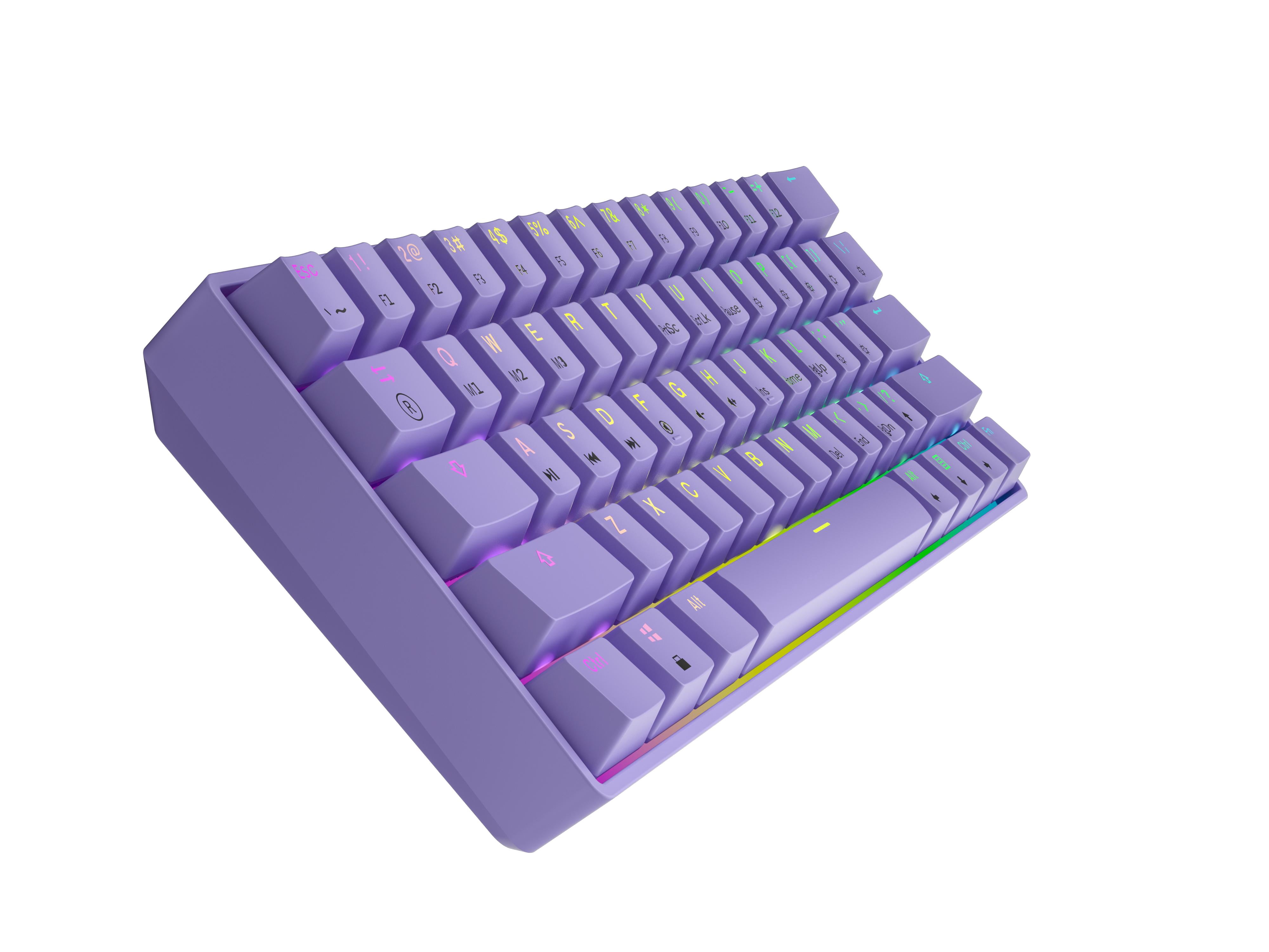 HK GAMING GK61 Mechanical Gaming Keyboard - 61 Keys Multi Color RGB Illuminated LED Backlit Wired Programmable for PC/Mac Gamer ( Gateron Optical Brown , Lavender )