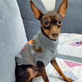 thumbnail image 2 of Pet Clothes,Small Dog Sweater Winter Warm Pet Pullovers Pets Clothing for Dogs Puppy Suit Outfit Baby ( Pink Strawberry), 2 of 5