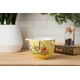 thumbnail image 5 of Cuenco de arroz con fideos ramen de cerámica Silver Buffalo Gudetama, 600 ml, 5 of 5