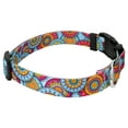 thumbnail image 6 of Country Brook Petz® Sky Mandala Everyday Dog Collar and Leash, Small, 6 of 7