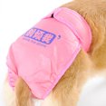 thumbnail image 1 of EeaseMX Pañales y fajas reutilizables para perritas medianas y grandes - Talla S (Rosa), 1 of 4