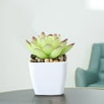 thumbnail image 5 of Gnwei Fake Plants Potted Artificial Plants, Mini Faux Plants in White Pots Greenery Décor for Home Office Table Shelf Bathroom Farmhouse Indoor Decoration, 5 of 9