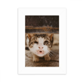 thumbnail image 1 of Marco de Fotos Unbranded Animal Funny Cat 5x7 pulgadas, 1 of 4