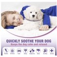 thumbnail image 3 of Calming Collar for Dogs 2 Pack Dog Pheromone Calm Collars Relief Anxiety Stress Separation Lasts 60 Days Relieve Bad Behavior, Flexible Adjustable for All Small Medium and Large Dog, 3 of 16