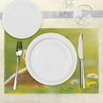 thumbnail image 3 of Ambesonne Animal Place Mats Set of 4, Ladybug Cats Dandelions, Standard Size, Earth Yellow Pale Green, 3 of 6