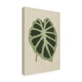 thumbnail image 2 of Trademark Fine Art 'Leaves on Linen II' Canvas Art by Unknown, 2 of 4