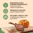 thumbnail image 4 of Canidae Heartland Countryside Lamb & Ancient Grains Dog Food, 4 lb. Bag, 4 of 10