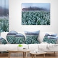thumbnail image 3 of Designart Frozen Hemp Field in Autumn Morning - Landscape Printed Throw Pillow - 18x18, 3 of 4